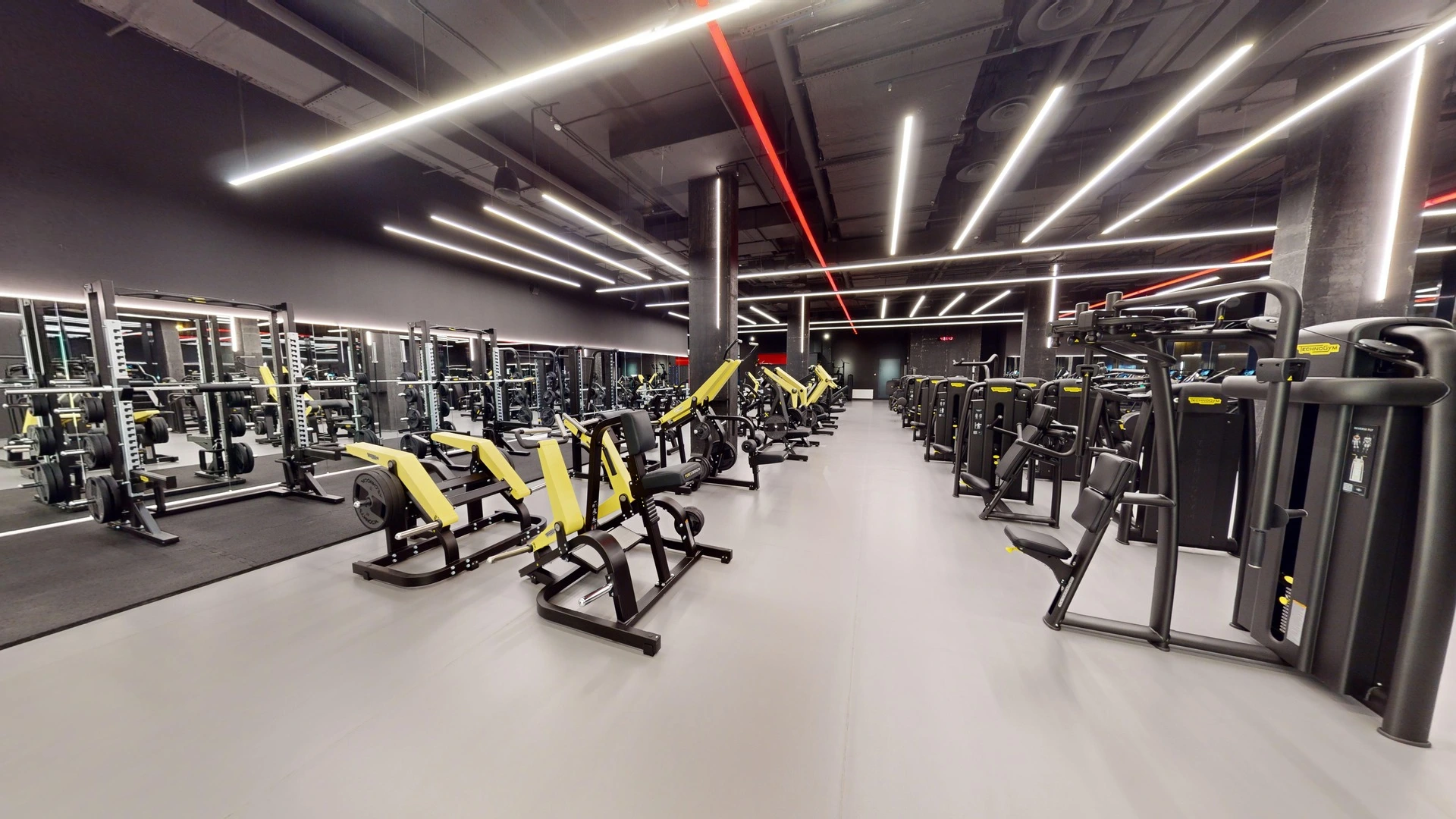 Description of the image